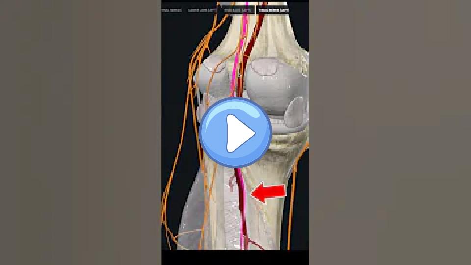 Video thumb: Worst NFL Injury? Doctor Explains Nick Chubb's Knee Dislocation