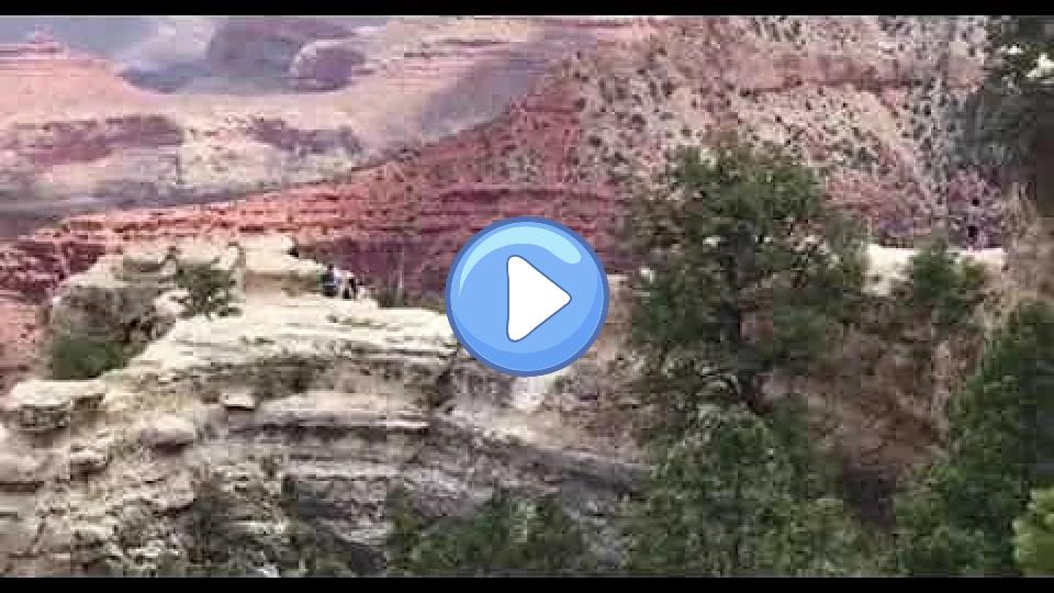 Video thumb: Onlookers scream as a woman falls to her death at the Grand Canyon