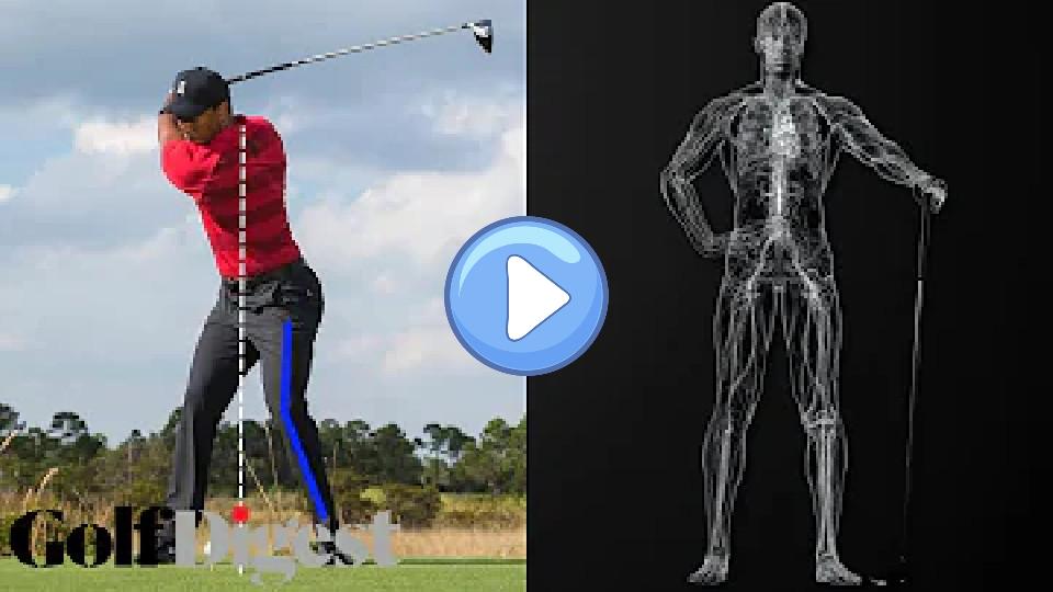 Video thumb: Experts Analyze Tiger Woods’ Swing at the Masters Post-Injury | Golf Digest