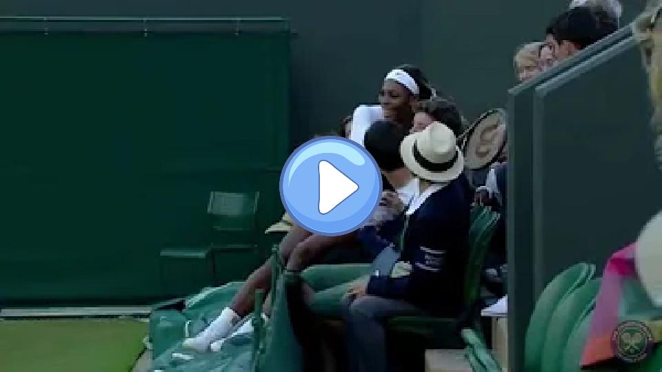 Video thumb: Serena Williams falls into the crowd at Wimbledon.