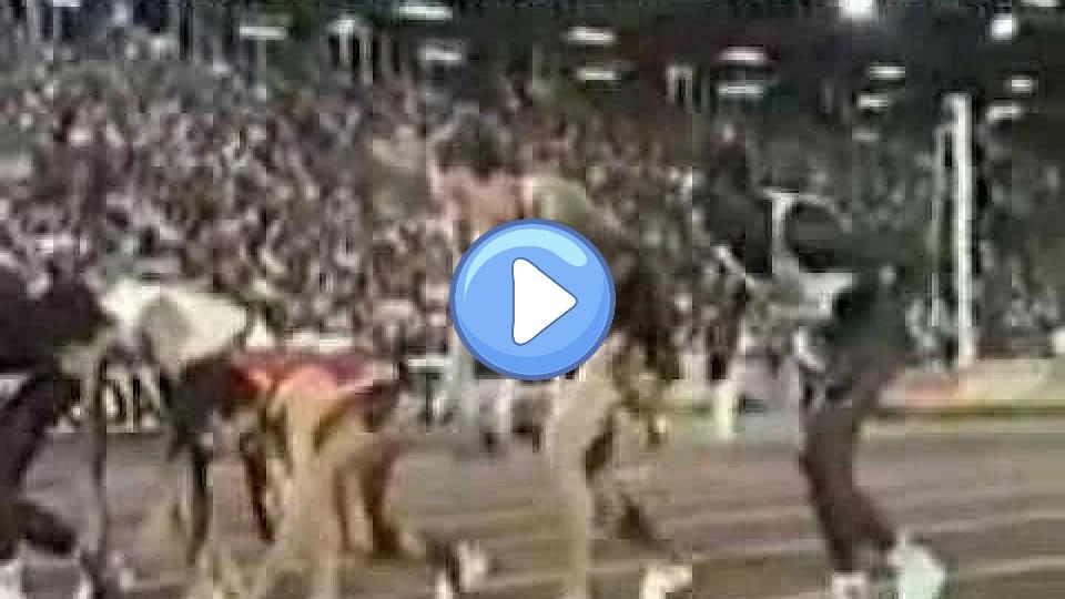 Video thumb: Steve Ovett Knee Injury (6 of 6)