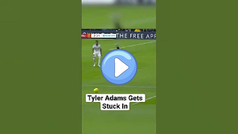 Play video: Tyler Adams gives Sancho a proper Yorkshire welcome, Video thumb: Tyler Adams gives Sancho a proper Yorkshire welcome,