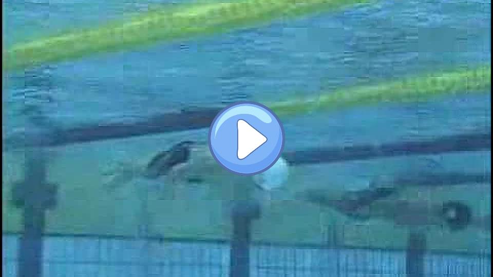 Video thumb: Kosuke Kitajima Breaststroke 1/4 (Underwater Camera/200m/2008)